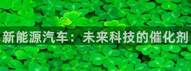 芜湖摩根一百有哪些娱乐