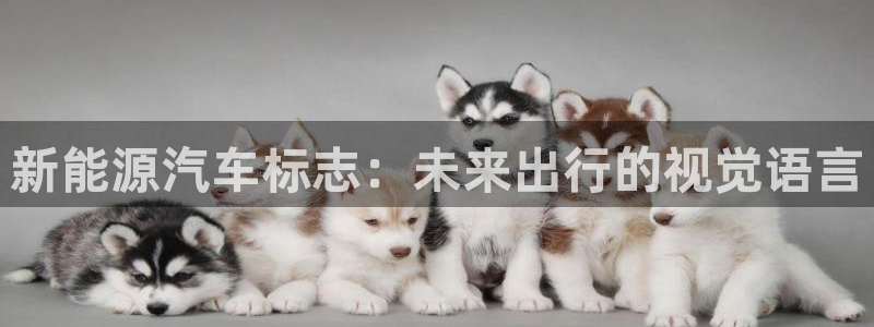 摩根国际娱乐宝在哪里