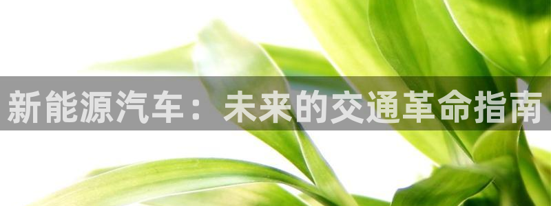 摩根娱乐开户总s管50015 18
