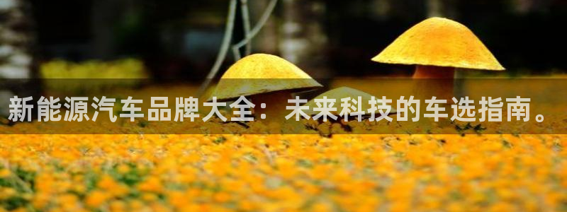 摩根娱乐宝是什么游戏