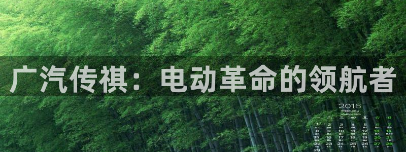 摩根娱乐宝代理