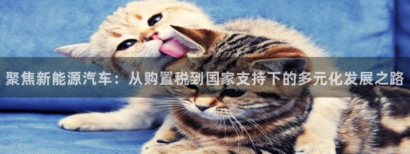 摩根娱乐公会创始人