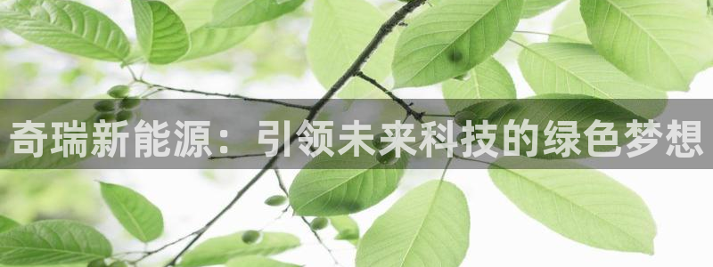 摩根娱乐宝平台下载：奇瑞新能源：引领未来
