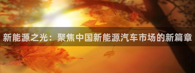 摩根娱乐宝合法吗：新能源之光：聚焦中国新