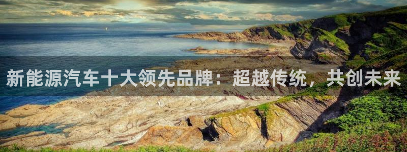 摩根娱乐宝正规吗：新能源汽车十大领先品牌
