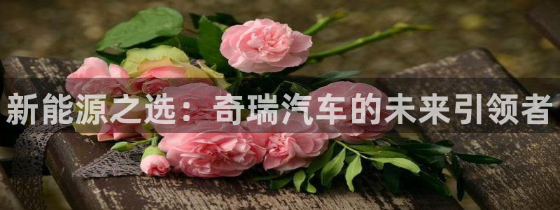 泉州摩根娱乐会所地址：新能源之选：奇瑞汽